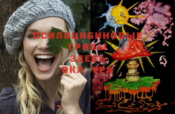 прущие крисы Абинск