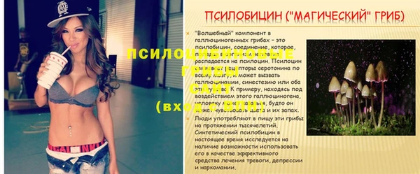 mix Абаза